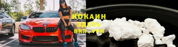 крисы Белоозёрский