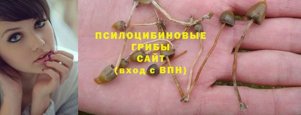 СК Белокуриха