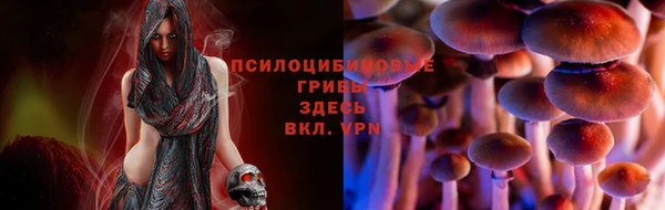 шишки Беломорск
