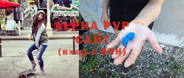 СК Белокуриха