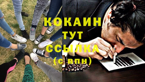 шишки Беломорск