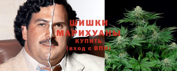 крисы Белоозёрский