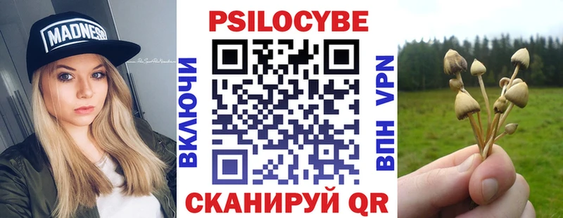 Псилоцибиновые грибы Psilocybe  магазин продажи   Духовщина 
